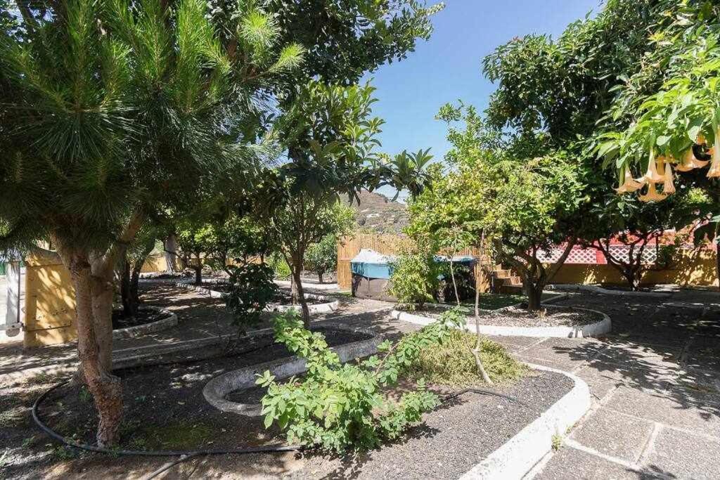 Villa Ojuelos Gran Canaria Вега де Сан Матео Екстериор снимка