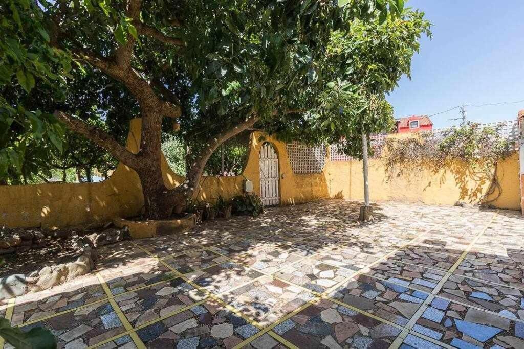Villa Ojuelos Gran Canaria Вега де Сан Матео Екстериор снимка